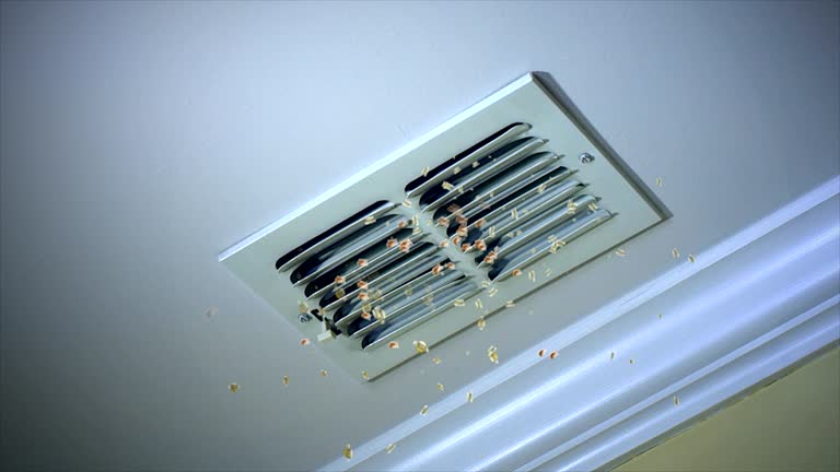 Best Commercial Air Duct Cleaning  in Daytona Beach Shores, FL